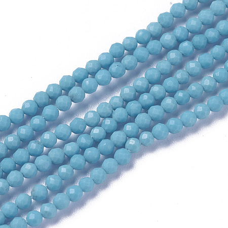 Synthetic Turquoise Beads Strands G-F596-39-2mm-1