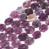 Natural Lepidolite Beads Strands G-L095-A01-01A-1