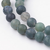 Natural Moss Agate Bead Strands G-G735-62F-6mm-3