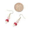 Handmade Lampwork Dangle Earrings EJEW-MZ00440-5