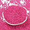 Baking Paint Glass Seed Beads SEED-S042-05A-36-2