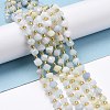 Natural Aquamarine Beads Strands G-P463-20-2