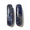 Natural Blue Spot Jasper Connector Charms G-G095-01B-1