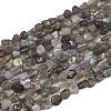 Natural Labradorite Beads Strands G-Q060-E20-01-2
