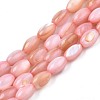 Freshwater Shell Beads Strands SHEL-T009-B15-02-1