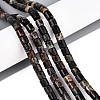 Natural Biotite Beads Strands G-T141-88A-1