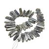 Natural Labradorite Beads Strands G-R419-03-2