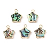 Natural Paua Shell Star Charms with Brass Edge SHEL-P017-15G-1