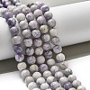 Natural Purple Turquoise Beads Strands G-L595-C04-02-2