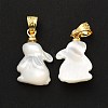 Natural White Shell Pendants SHEL-G014-13B-4