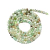 Natural Chalcedony Beads Strands G-G189-D21-01-3