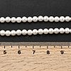 Electroplated Shell Pearl Beads Strands BSHE-K017-4mm-4