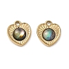 Natural Paua Shell Pendants STAS-G397-17G-02-1