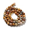 Natural Crazy Lace Agate Beads Strands G-E571-36A-3