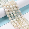 Natural White Moonstone Beads Strands G-F674-08-8mm-01-5