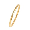 304 Stainless Steel Hinged Bangles for Women BJEW-C114-06G-4