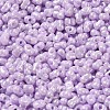 Glass Seed Beads SEED-K009-02A-05-3