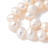 Natural Cultured Freshwater Pearl Beads Strands PEAR-I007-07O-07A-4