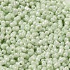 Glass Seed Beads SEED-K009-02A-09-3