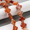 Natural Red Agate Beads Strands G-P520-A06-01-2