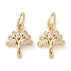 Rack Plating Brass Micro Pave Clear Cubic Zirconia Charms KK-D097-05G-1