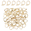 DICOSMETIC 60Pcs 304 Stainless Steel Leverback Earrings Findings STAS-DC0015-92-1