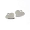 304 Stainless Steel Charms STAS-D431-28-2
