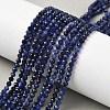 Natural Sodalite Beads Strands G-L622-C04-3mm-1