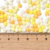 6/0 Opaque Baking Paint Glass Seed Beads X1-SEED-M012-02A-28-4