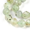 Natural Prehnite Beads Strands G-S345-10mm-28-4