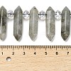 Natural Labradorite Double Terminated Point Beads Strands G-H069-A04-01-4