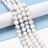 Natural Howlite Beads Strands G-E571-29B-2