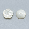 Natural White Shell Beads SSHEL-S260-017-2