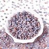 Baking Paint Glass Beads DGLA-T005-01A-12-1