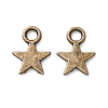 Alloy Charms TIBEB-S039-051AB-NR-1