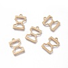 304 Stainless Steel Charms LS-STAS-K215-15G-1