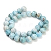 Natural Larimar Beads Strands GG-CBA007A-B01-12mm-4