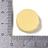 Opaque Resin Imitation Food Decoden Cabochons RESI-S395-02F-3