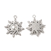 Non-Tarnish 304 Stainless Steel Pendants STAS-A070-14P-1