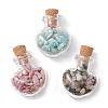 3Pcs Glass Wishing Bottle Decorations PALLOY-JF03095-1