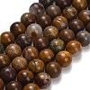 Natural Wealth Stone Beads Strands G-C289-B01-10mm-2