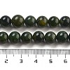 Natural Canadian Jade Beads Strands G-NH0029-01B-5