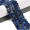 Dyed Natural Lapis Lazuli Beads Strands G-M403-A30-02-2
