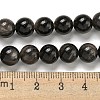 Natural Silver Obsidian Beads Strands X-G-S150-20A-8mm-5