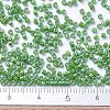 MIYUKI Delica Beads SEED-MY11-DB0163-4