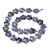 Natural Blue Spot Beads Strands G-P573-C45-01-3