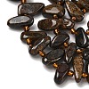 Natural Bronzite Beads Strands G-Z130-A02-01-4