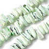 Dyed Natural Trochus Shell Beads Strands SSHEL-C013-09I-1
