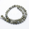 Natural Labradorite Beads Strands G-I199-15-8mm-2