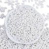 Baking Paint Glass Seed Beads X1-SEED-K010-A03-3